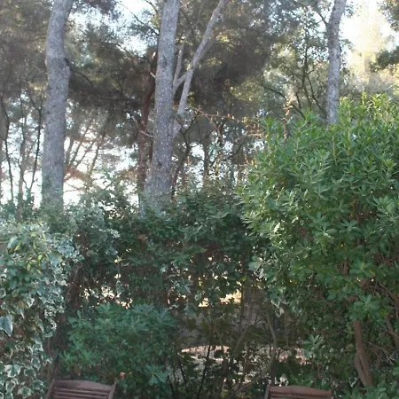 Apartmán Maison Studio Climatisee Avec Terrasse Et Jardinet, Proche Plage Et Tennis, Animaux Acceptes - Fr-1-610-41